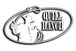 https://quillranch.com/